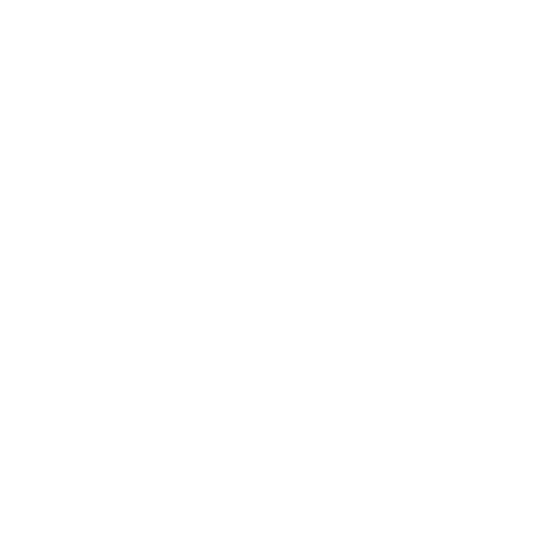 T20 Logo